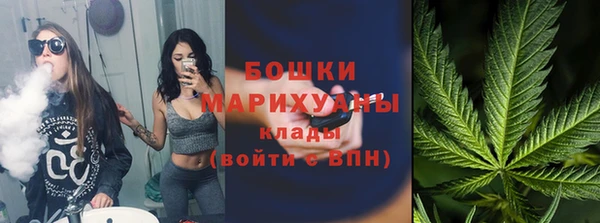 ПСИЛОЦИБИНОВЫЕ ГРИБЫ Верхний Тагил
