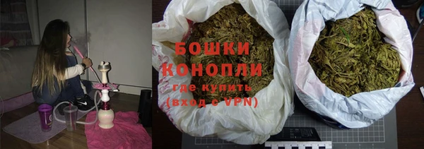 ПСИЛОЦИБИНОВЫЕ ГРИБЫ Верхний Тагил