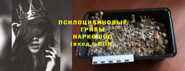 apvp Снежногорск