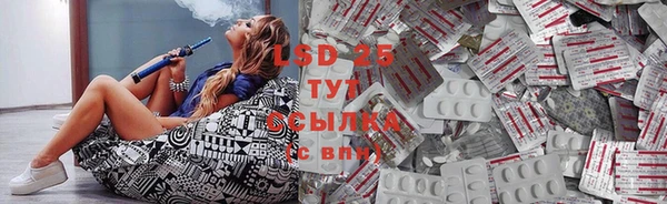 ПСИЛОЦИБИНОВЫЕ ГРИБЫ Верхний Тагил