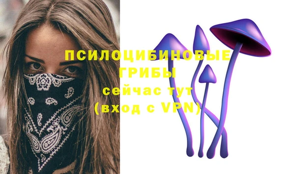 спиды Верея